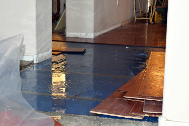 Professional Burst Pipe Water Damage technician working in Addison, WV